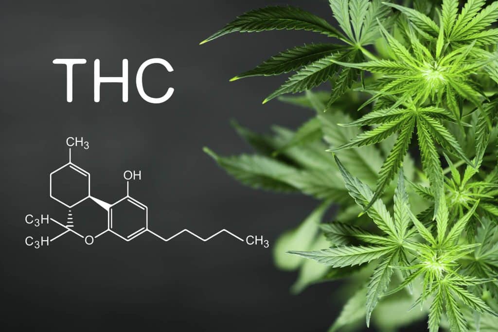 What is Delta 8 THC?