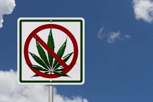 marijuana leaf sign