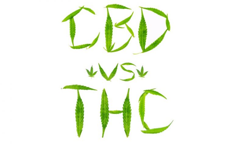 Delta 8 flower vs. CBD Flower: What’s the difference?