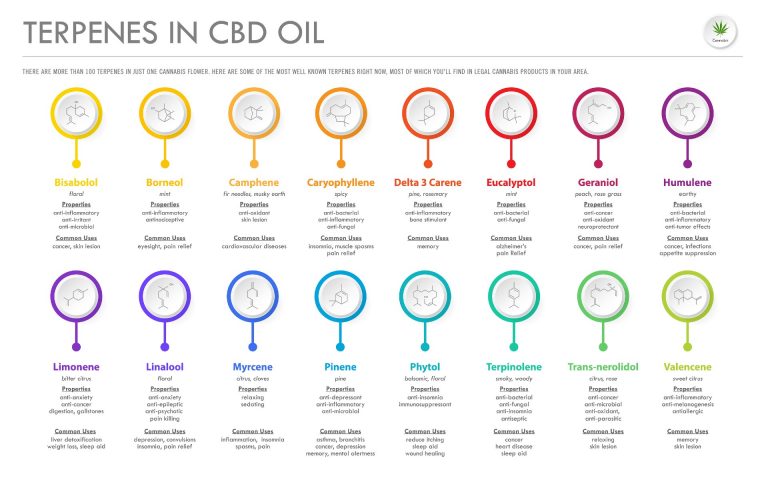 Flavonoids vs. Terpenes: Differences and Their Effect and Your Body