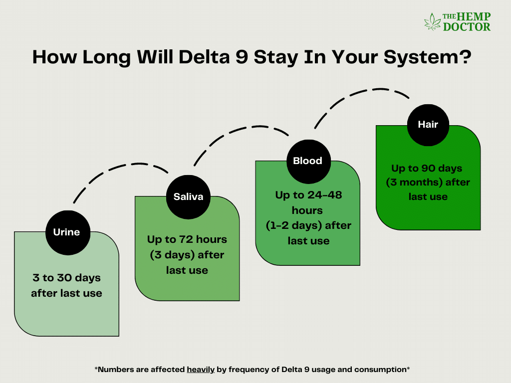 How Long Will Delta 9 Stay in Your System? Infographic