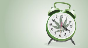 Best Time to Take Each Cannabinoid