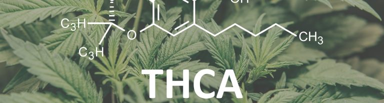 Five Things You Need to Know About THCA Flower