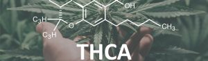 Is THCa Legal?