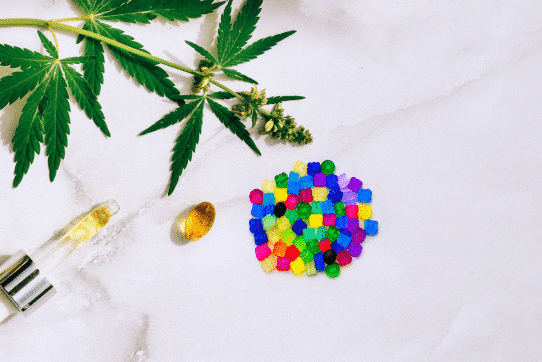 Softgels vs. Gummies: Finding the Right Cannabis Solution For Your Needs