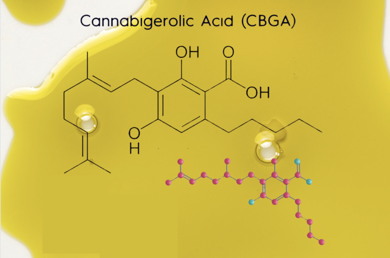 The CBGA Guide: Mother Of All Cannabinoids