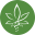 thehempdoctor.com